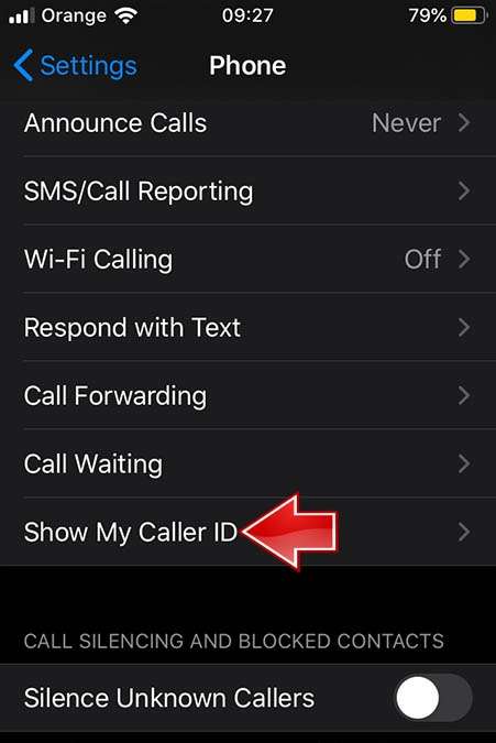 how to hide my number on iphone 13 pro max