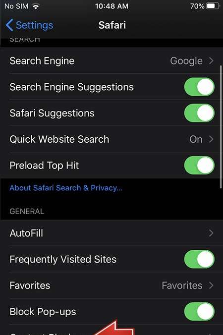 APPLE iPhone 6 Safari settings