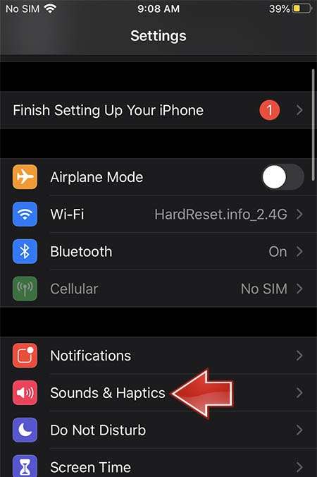 APPLE iPhone 12 Pro Max Sounds & Haptics