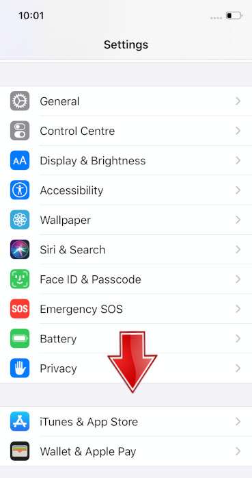 How To Clear Browsing Data In IPhone 13 Pro? - MobileSum United States